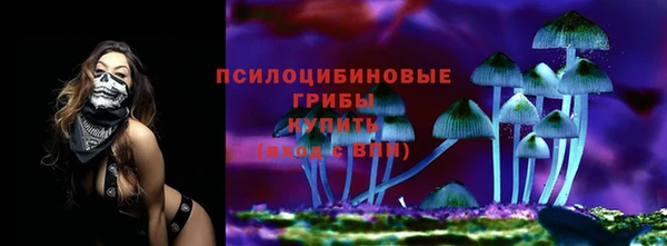 дурь Горнозаводск