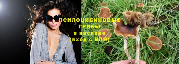 дурь Горнозаводск