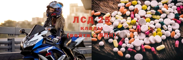 spice Горняк