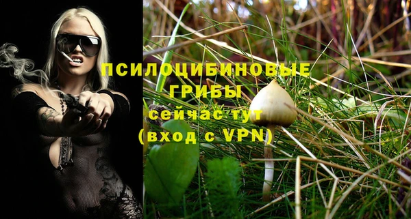 ешки Дмитров