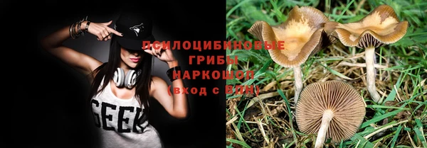 дурь Горнозаводск