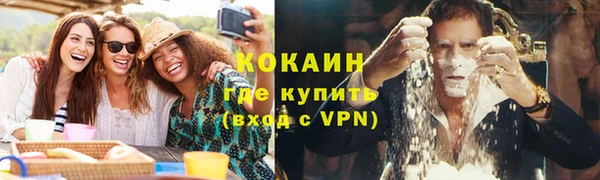 spice Горняк