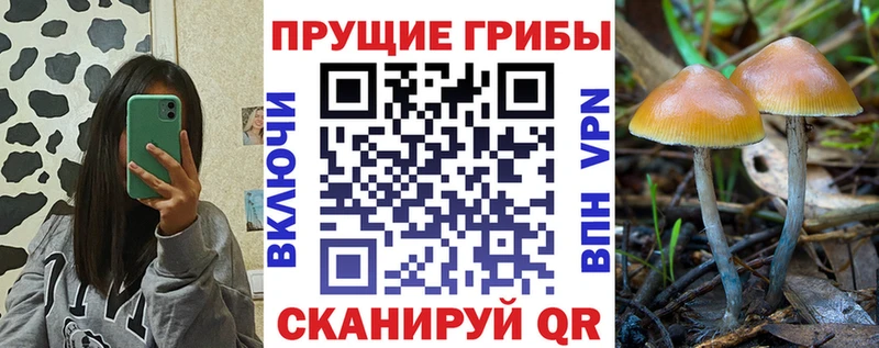 Псилоцибиновые грибы прущие грибы  Добрянка 